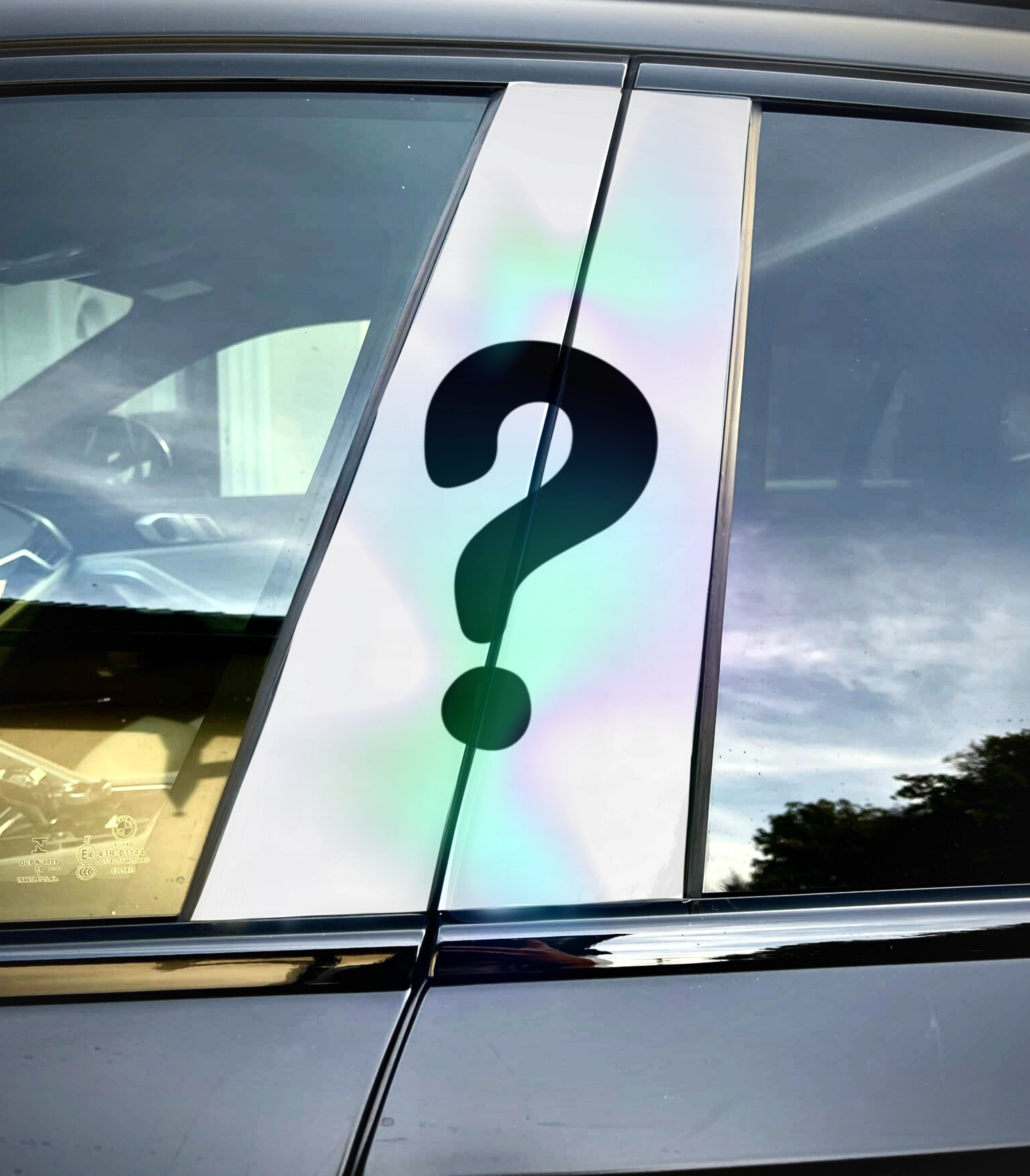 Vinilo holográfico del pilar B de Ghostface: edición limitada (50 unidades en todo el mundo)