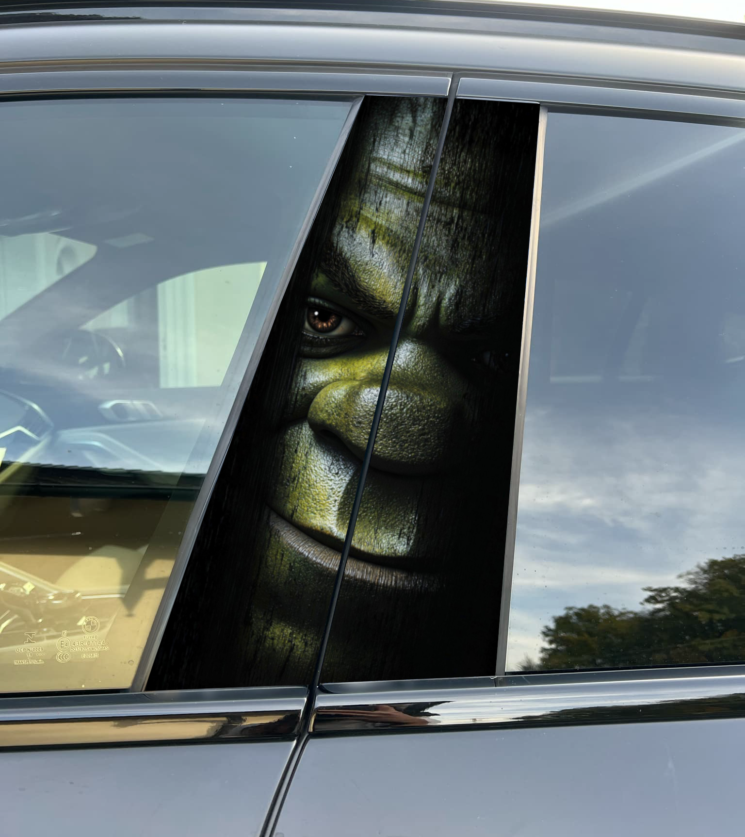 Shrek Car Pillar Wrap - Premium Vinyl B-Pillar Decal, Custom Fit, Matte or Gloss