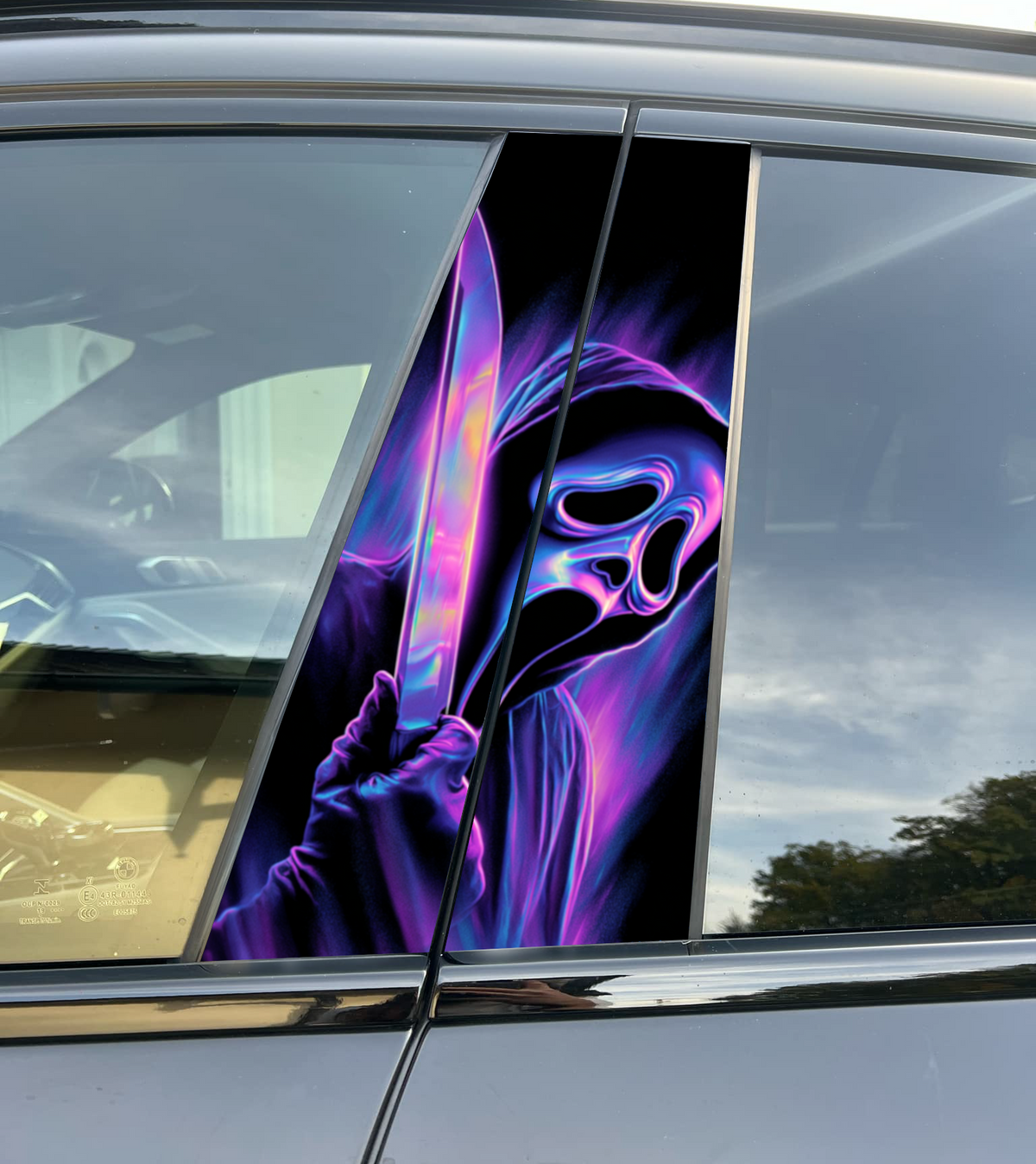 AutoSkinz