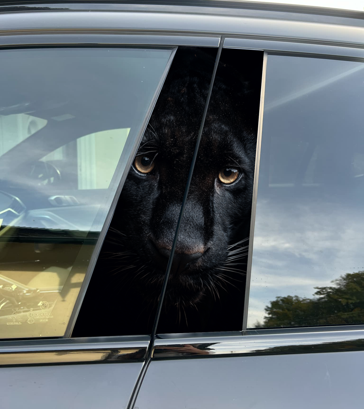 Panther Car Pillar Wrap - Premium Vinyl B-Pillar Decal, Custom Fit, Matte or Gloss