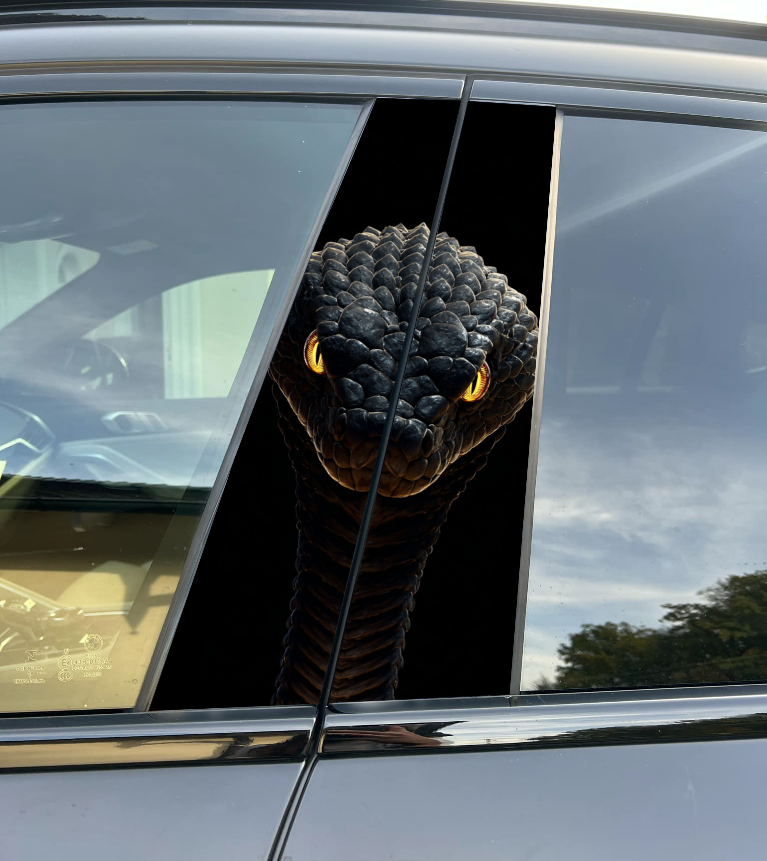 Cobra Snake Car Pillar Wrap - Premium Vinyl B-Pillar Decal, Custom Fit, Matte or Gloss